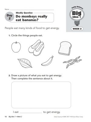 Daily science 6 (4)