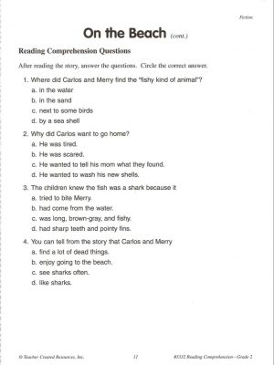 Reading comprehension 2 (4)