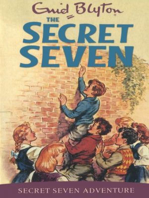 Secret Seven (3)
