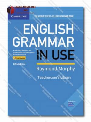 English Grammar In Use 1