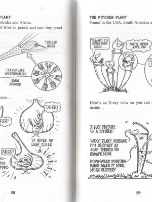 Bulging Box of Books (Horrible Science) - 20 Books Bản Nhập Khẩu