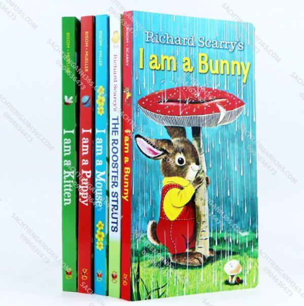 Animal Stories - I Am Bunny | 5 cuốn Board Books - Sách nhập khẩu