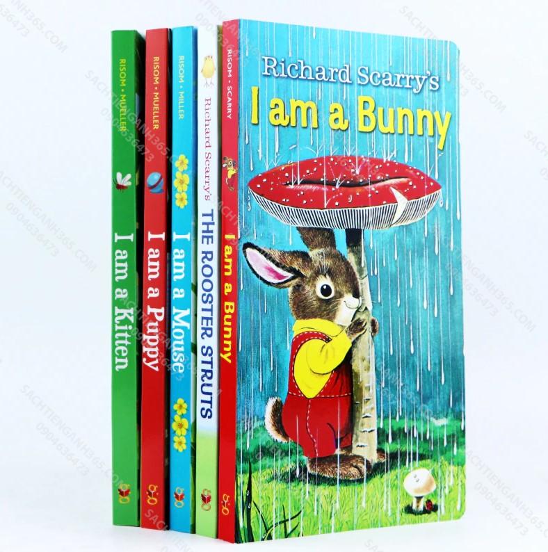 Animal Stories - I Am Bunny | 5 Books - Sách Nhập Khẩu