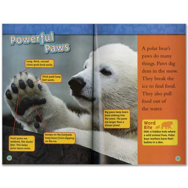 [Sách nhập khẩu] National Geographic Kids Level 1 – 38 cuốn + File nghe