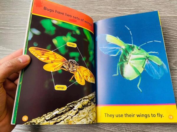 [Sách nhập khẩu] National Geographic Kids Level PRE – 20 cuốn