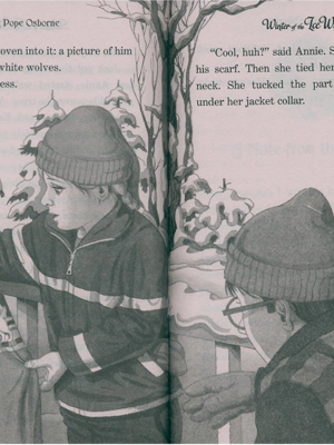 Magic Tree House 2 (29-55) - 27 Books| Bản Nhập Khẩu