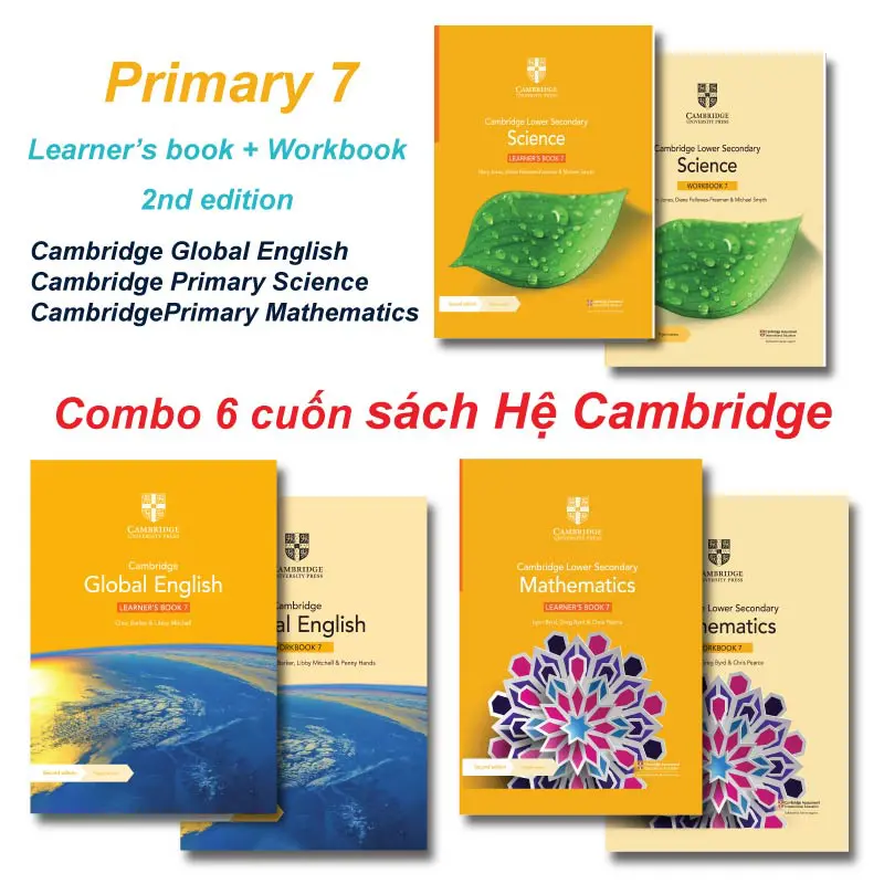 Cambridge Level 7
